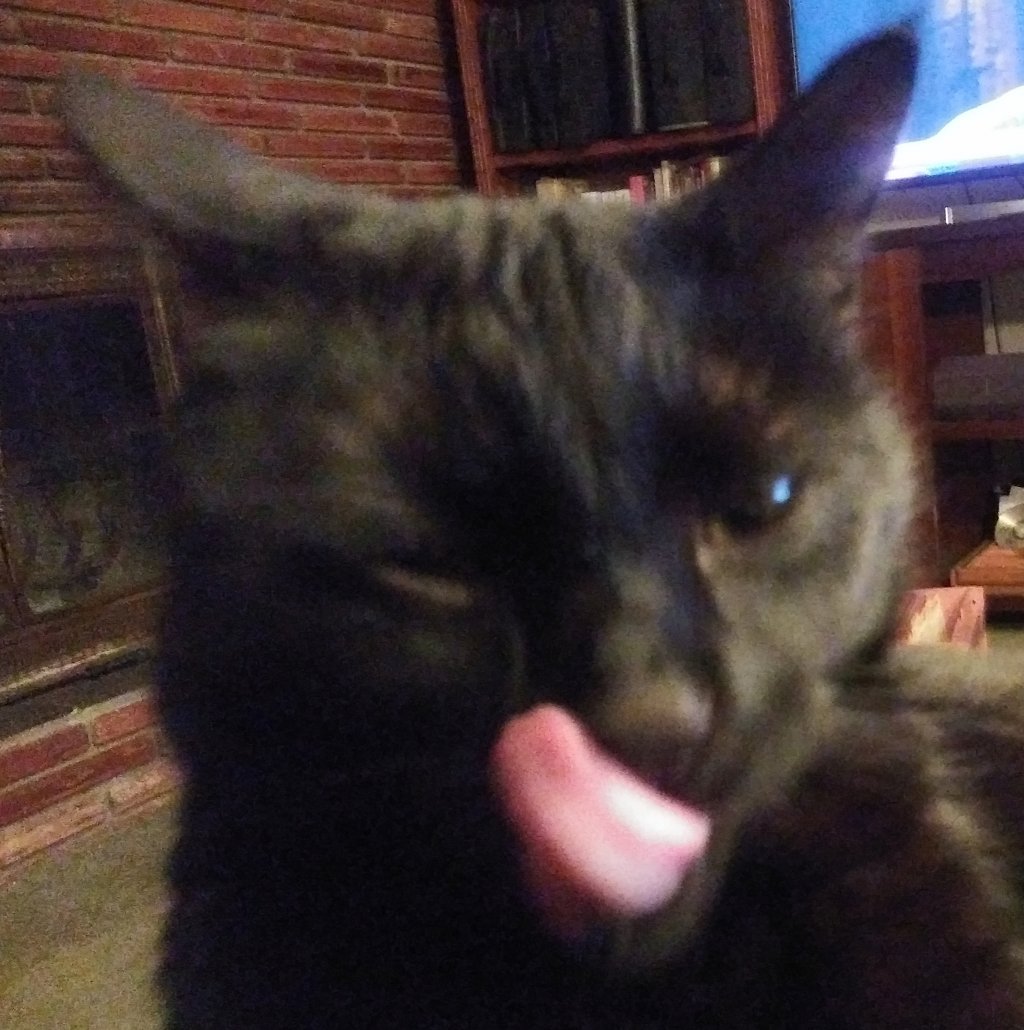 image-856268-HenryTongue20190208_014041-c9f0f.w640.jpg